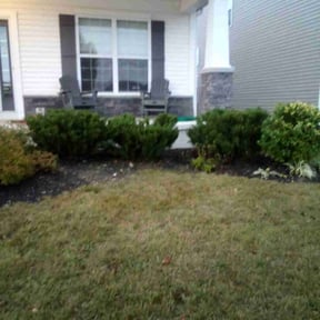 Bush Trimming by MJ'S Lawn service reviewed on September 15, 2024