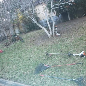 Bush Trimming by Them Joneses reviewed on March 3, 2025
