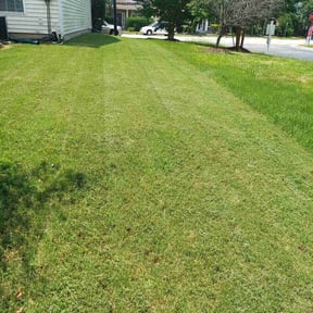 Landscaping by Pepperseed Professional Outdoor Services reviewed on July 20, 2020