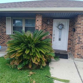 Bush Trimming by Bowen lawn care reviewed on August 12, 2020