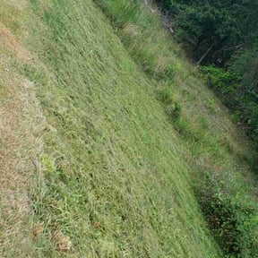 Cleanups by FPS reviewed on July 28, 2022