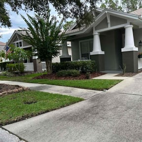 Bush Trimming by MULTIMIL reviewed on June 26, 2025