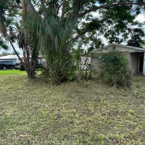 Cleanups by Robert Lee reviewed on November 3, 2022