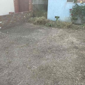 Cleanups by Linares Lawn Care reviewed on February 28, 2025