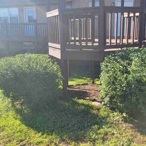 Landscaping by Shane Ray reviewed on June 21, 2022