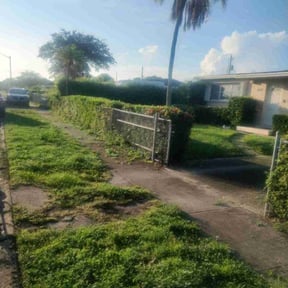 Bush Trimming by ShiftChange LLC Lawn Service reviewed on December 29, 2021