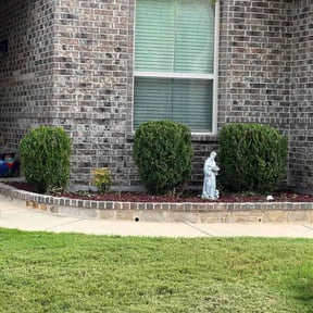 Bush Trimming by Jose Perez Landscaping reviewed on July 7, 2022