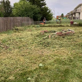 Cleanups by YardGoat Mowing reviewed on June 3, 2022