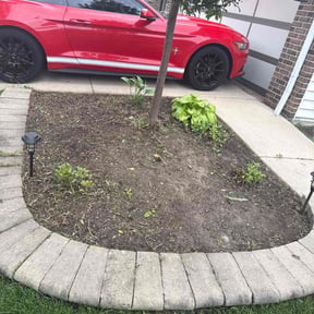 Flower Bed Weeding by Luckys Lawn Care reviewed on December 6, 2024