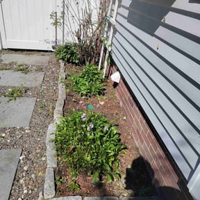 Flower Bed Weeding by Full Circle Lawn & Landscape reviewed on July 26, 2022