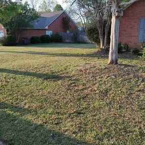 Leaf Removal by Countryside lawn and garden reviewed on April 11, 2025