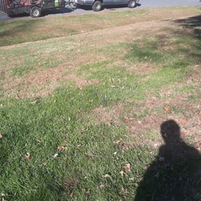 Leaf Removal by Fraire landscaping reviewed on May 25, 2022