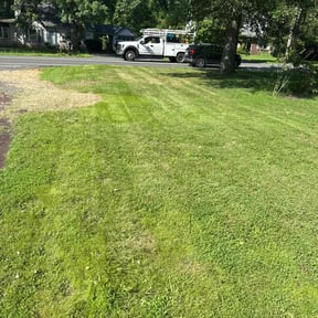 Mulching by Lopez services reviewed on May 8, 2025