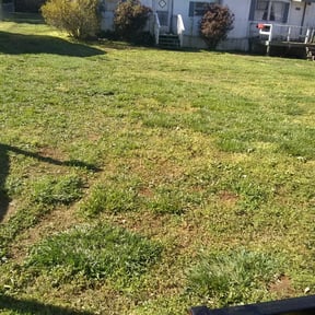 Bush Trimming by Cooley Lawn Care reviewed on October 9, 2022
