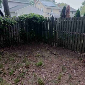 Leaf Removal by Alux rental’s LLC reviewed on June 7, 2022