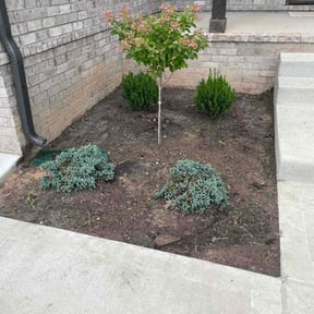 Flower Bed Weeding by LIGHTNING LANDSCAPING & LAND MANAGEMENT reviewed on July 25, 2022