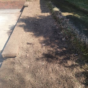 Cleanups by Preppy Landscaping reviewed on August 6, 2022