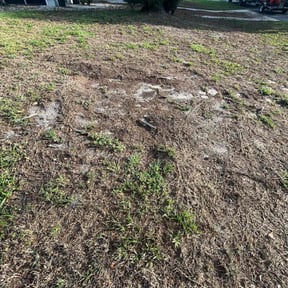 Cleanups by Aparicio Lawn Care reviewed on July 16, 2022