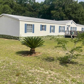 Bush Trimming by Them Joneses reviewed on March 3, 2025