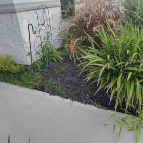 Mulching by Fast -N- Proud reviewed on July 14, 2022
