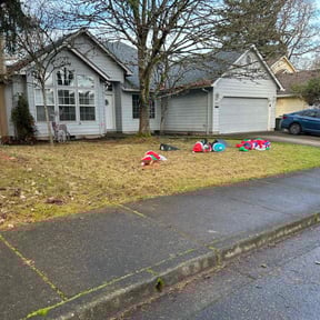 Leaf Removal by Rickys lawn care  reviewed on October 21, 2022