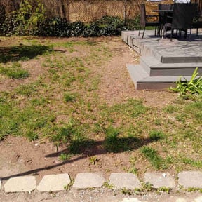 Leaf Removal by PM Beautifications reviewed on June 11, 2022
