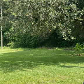 Cleanups by J&amp;S home services reviewed on February 19, 2025