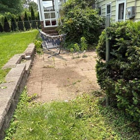 Leaf Removal by The guy property maintenance reviewed on March 30, 2022