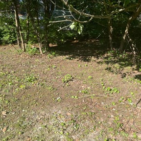 Weed Pulling by Chai reviewed on May 2, 2022