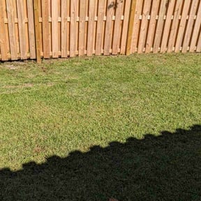 Leaf Removal by XGreen reviewed on November 5, 2022