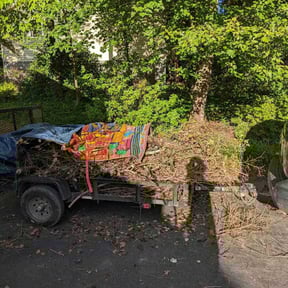 Cleanups by B&C Lawn and Landscaping LLC reviewed on August 21, 2024