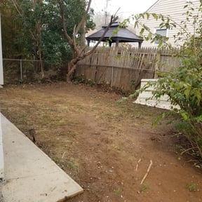 Cleanups by Lawn services JAV reviewed on June 2, 2025