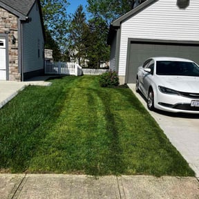 Flower Bed Weeding by Terjuan Short reviewed on June 11, 2022