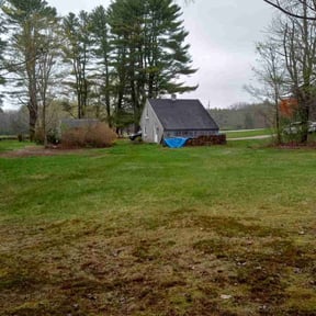 Cleanups by Carter Lawn Service reviewed on April 1, 2022