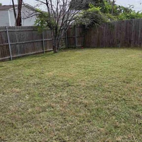 Cleanups by Stephen's Lawns reviewed on October 12, 2022