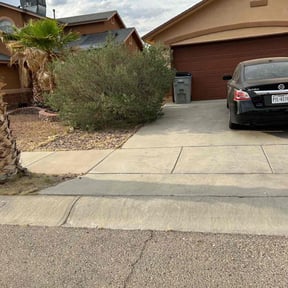 Cleanups by LSLTDallas/FortWorthTruGreen reviewed on September 13, 2024