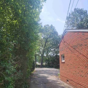 Bush Trimming by Jeri Cleaning Services reviewed on August 18, 2024