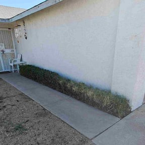 Bush Trimming by Cornerstone Properties and Rentals reviewed on November 2, 2023