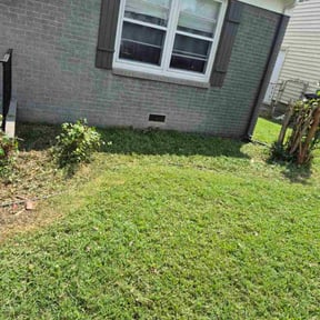 Bush Trimming by LSLTDallas/FortWorthTruGreen reviewed on July 10, 2025
