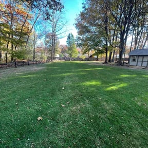 Leaf Removal by JBB's landscaping reviewed on July 6, 2022