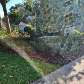 Bush Trimming by J&M Landscaping reviewed on November 9, 2021