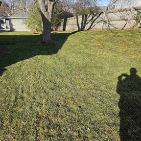Leaf Removal by Blossom Lawn Care reviewed on May 26, 2025