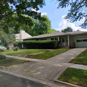 Bush Trimming by Greenline Lawn Care LLC reviewed on October 4, 2022