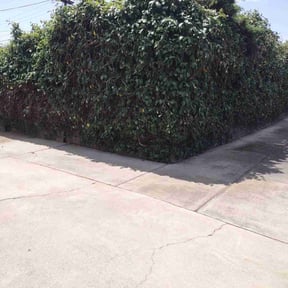 Bush Trimming by Rocking H Services LLC reviewed on April 20, 2023