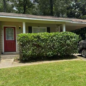 Bush Trimming by Universal lawnscaping reviewed on April 12, 2022