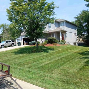 Weed Pulling by Mabin Lawn Service reviewed on January 4, 2025