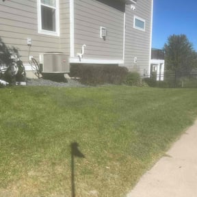 Bush Trimming by Premier lawn solutions reviewed on July 27, 2025