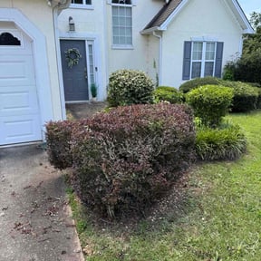 Bush Trimming by J & MV Properties LLC reviewed on July 10, 2022