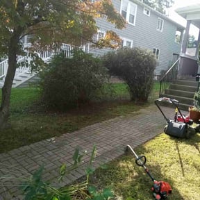 Bush Trimming by Flawless Lawns reviewed on March 30, 2022