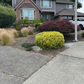 Bush Trimming by Timber Lawn Services reviewed on August 2, 2022